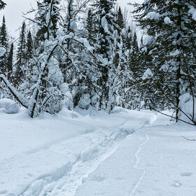 ���������� �����