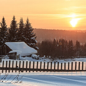 ������ �����