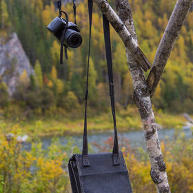 ������ ���������